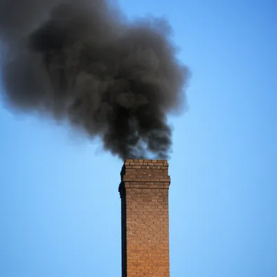 Illustration smoked - Image 1