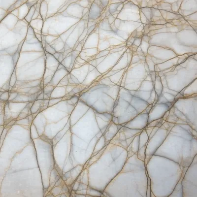 Illustration vein - Image 1