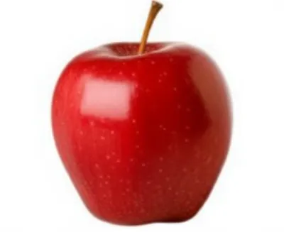 Illustration emblematic - Image 1