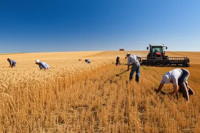 Illustration outworks - Image 1