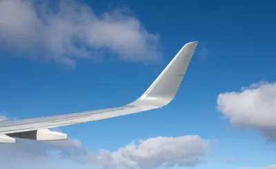 Illustration tailfin - Image 1