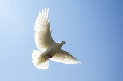 Illustration cleanly - Image 1