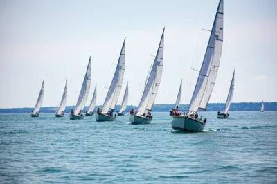 Illustration ranged - Image 1