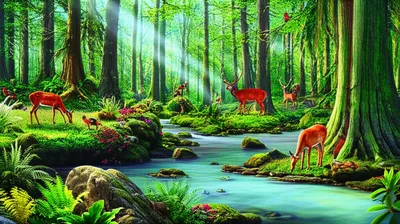 Illustration naturalism