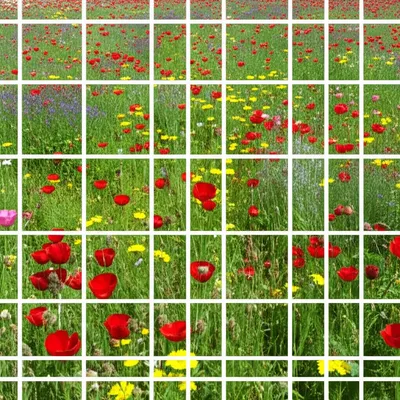 Illustration molds - Image 1