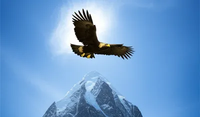 Illustration towered - Image 1