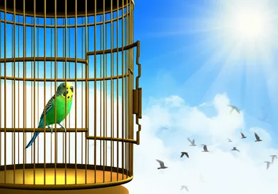 Illustration vent - Image 1