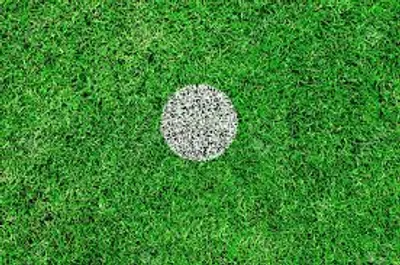 Illustration spot - Image 2