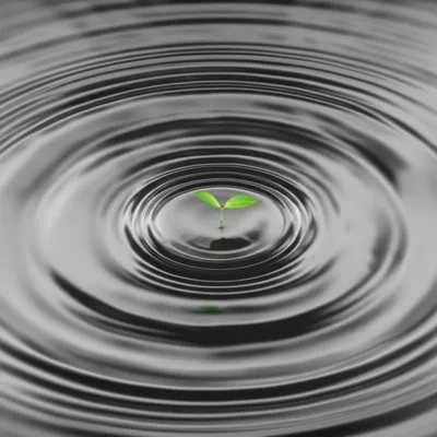 Illustration amplified - Image 2