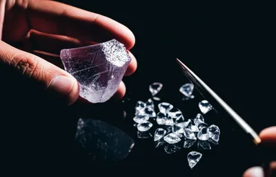 Illustration ed - Image 1