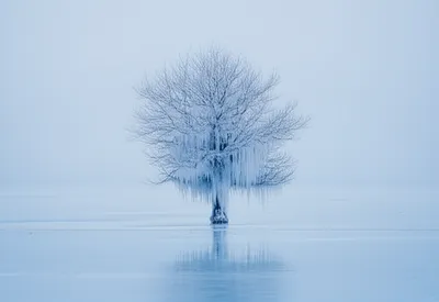 Illustration stasis - Image 1