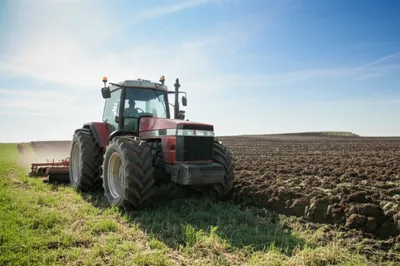 Illustration workhorse - Image 1