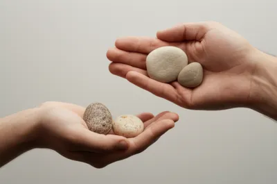 Illustration fairer - Image 1