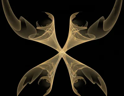 Illustration tricorne - Image 1