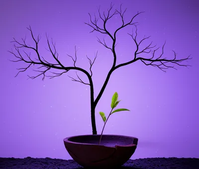 Illustration lent - Image 1