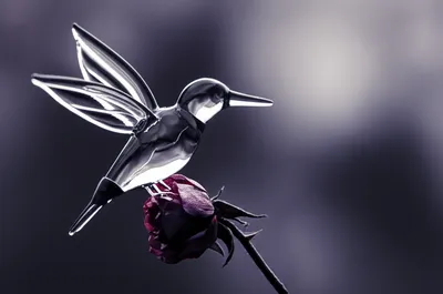 Illustration tender - Image 1