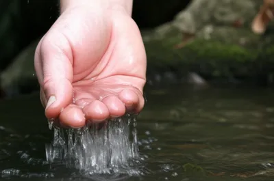 Illustration suppressing - Image 1