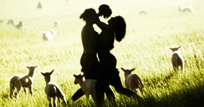 Illustration romp - Image 1