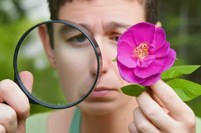 Illustration appraisals