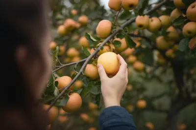 Illustration selfs - Image 1