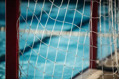 Illustration cage - Image 1