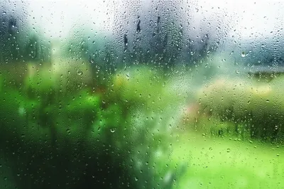 Illustration damps - Image 1