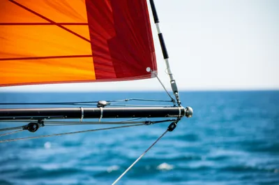 Illustration ft - Image 1