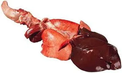 Illustration pluck - Image 2