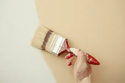 Illustration done - Image 1