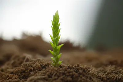 Illustration innovations - Image 1