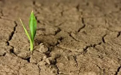 Illustration resilience - Image 2