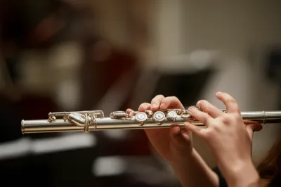 Hình ảnh minh họa flute