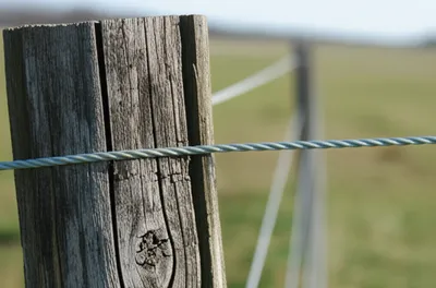 Illustration fencepost