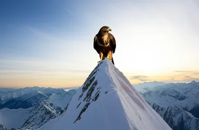 Illustration keen - Image 1