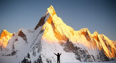 Illustration humbled - Image 1