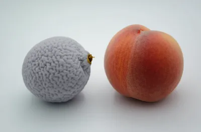 Illustration flatter - Image 1