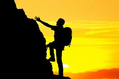 Illustration bids - Image 1