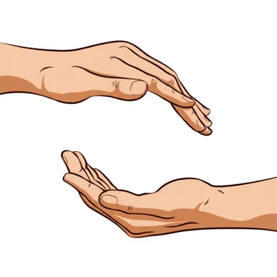 Illustration allow - Image 1