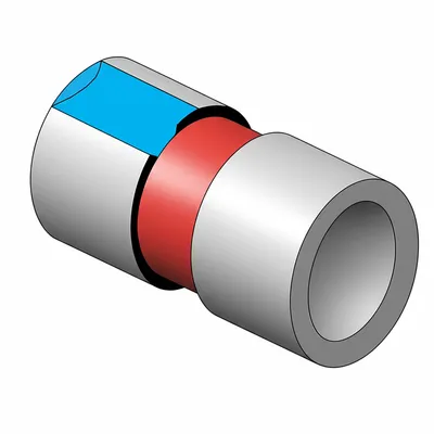 Illustration seal - Image 1