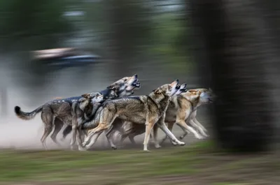 Illustration bays - Image 1