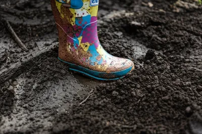 Illustration muddy - Image 1