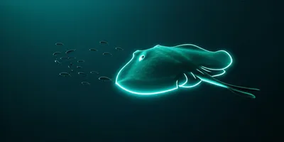 Illustration torpedo - Image 1