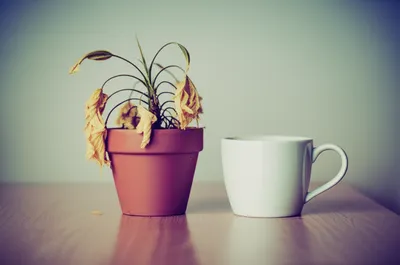 Illustration reduces - Image 1