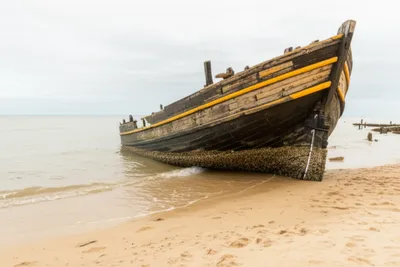 Illustration beaches - Image 1