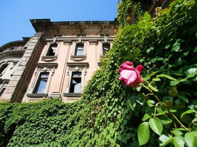 Illustration ruining - Image 1