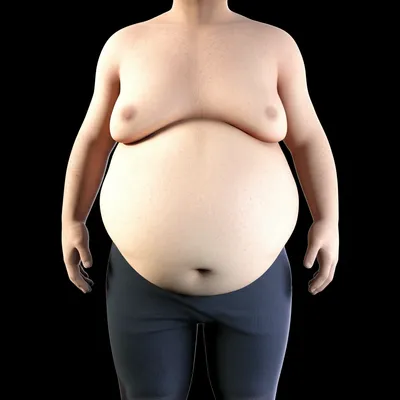 Illustration paunchy - Image 1