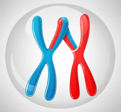 Hình ảnh minh họa crossover - Ảnh 1