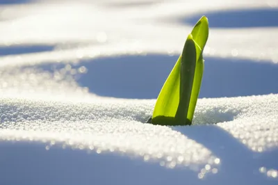 Illustration thaw - Image 1