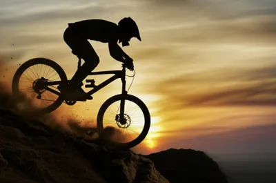 Illustration shredding - Image 1