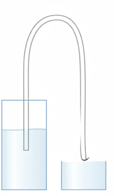 Illustration siphon - Image 1